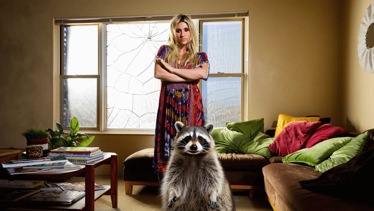 Kesha Loses Fight to Big Feral Raccoon Intruder Refusing to Leave Her Home: ‘Move In’