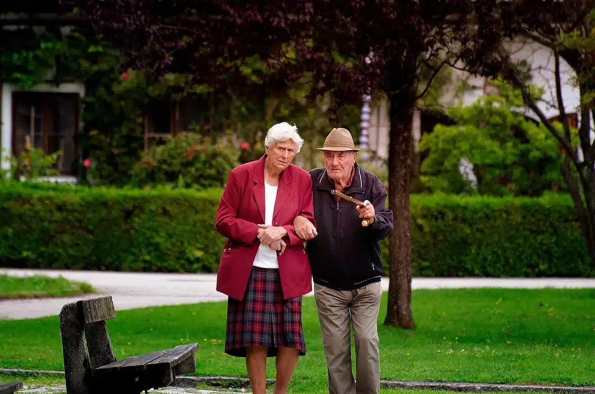Anonymous couple walking hand in hand in a park, backs turned
