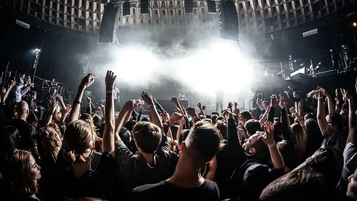 Crowd from behind with stage lights and decorative garlands at an outdoor festival