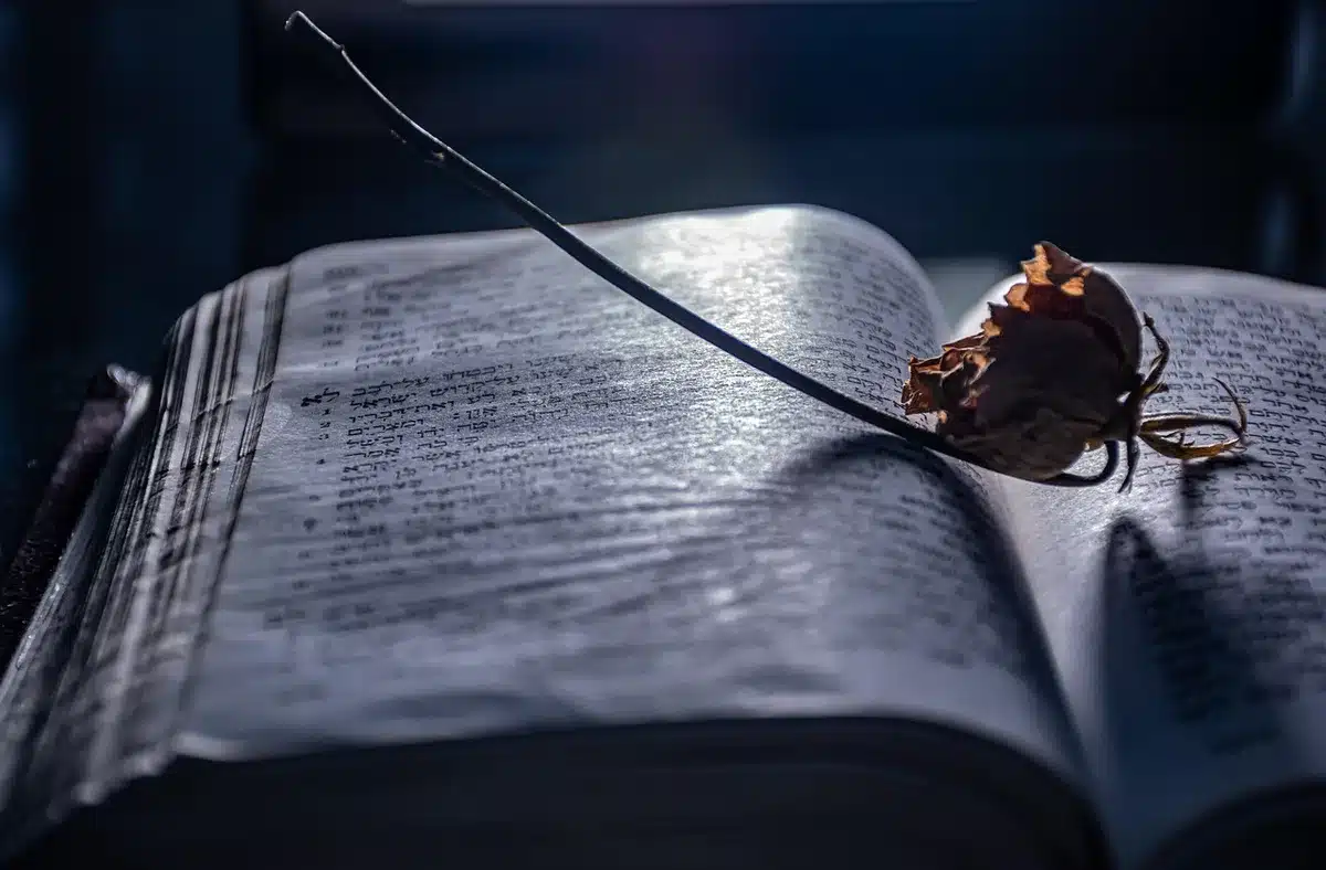 Close-up of hands holding an open memoir on a park bench