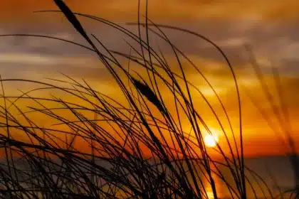 Two silhouetted castaway figures near a campfire and shelter on a beach at dusk