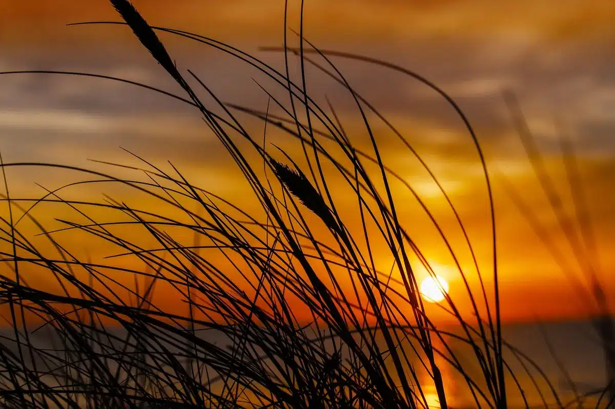 Two silhouetted castaway figures near a campfire and shelter on a beach at dusk